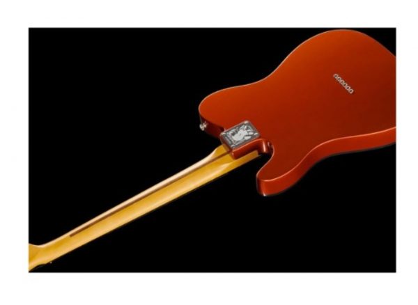 Fender LTD Raphael Saadiq Tele RW DRM