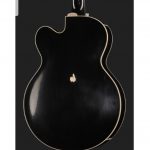 Gretsch 6120CST 59 Black Paisley