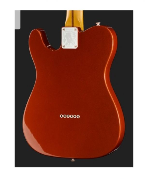 Fender LTD Raphael Saadiq Tele RW DRM