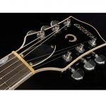 Gretsch 6120CST 59 Black Paisley