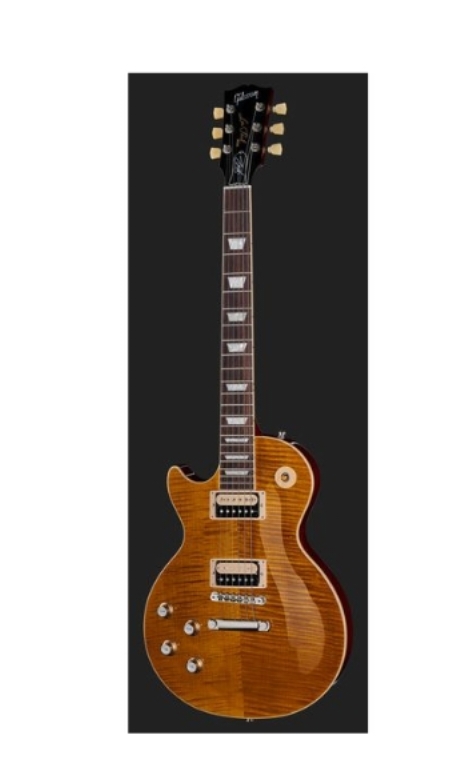 Gibson Les Paul Slash Standard AA LH