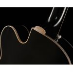 Gretsch 6120CST 59 Black Paisley