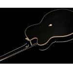 Gretsch 6120CST 59 Black Paisley