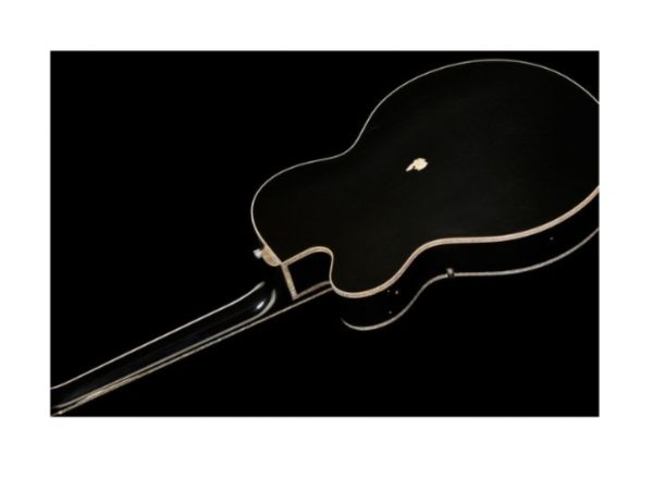 Gretsch 6120CST 59 Black Paisley