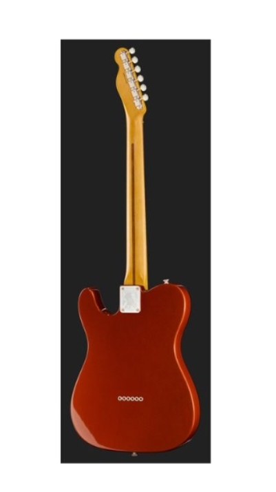 Fender LTD Raphael Saadiq Tele RW DRM