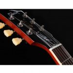 Gibson Les Paul Slash Standard AA LH