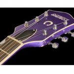 Gretsch 6120CST 59 Purple Relic
