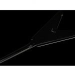 Gibson Flying V Custom EB