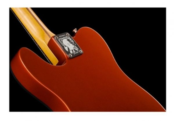 Fender LTD Raphael Saadiq Tele RW DRM